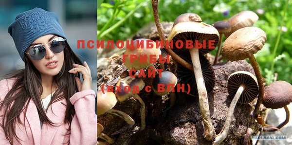 дживик Балахна