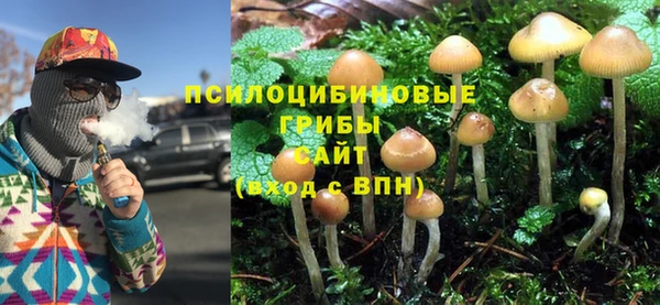 прущие грибы Баксан