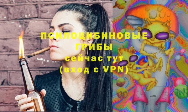 дживик Балахна