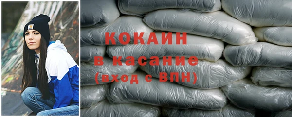 прущие грибы Баксан