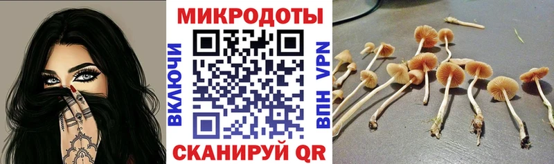 Псилоцибиновые грибы Magic Shrooms Чекалин