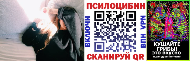 купить закладку  Чекалин  Галлюциногенные грибы мухоморы 