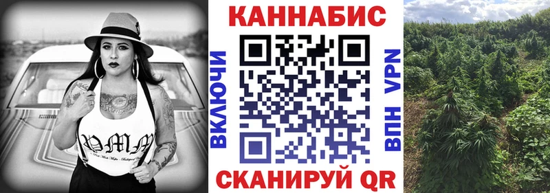 ОМГ ОМГ как зайти  закладка  Чекалин  Бошки марихуана семена 